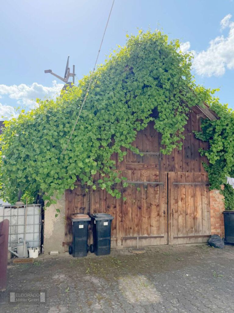 Schuppen