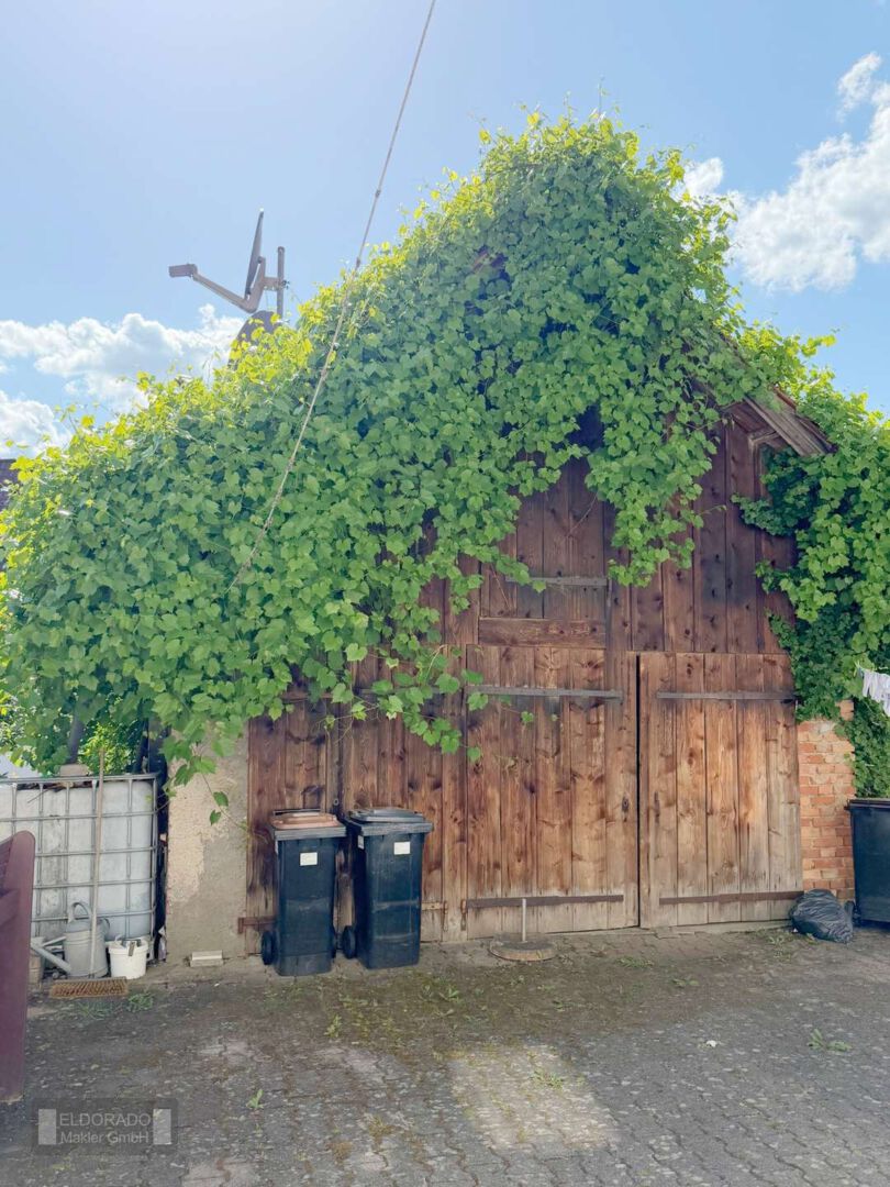 Schuppen