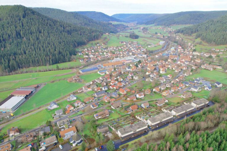 Ausblick