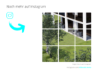 Tolle Eigentumswohnung mit Gartenanteil und flexiblem Grundriss - Instagram.png